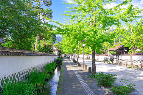 津和野・殿町通りの白壁と掘割
