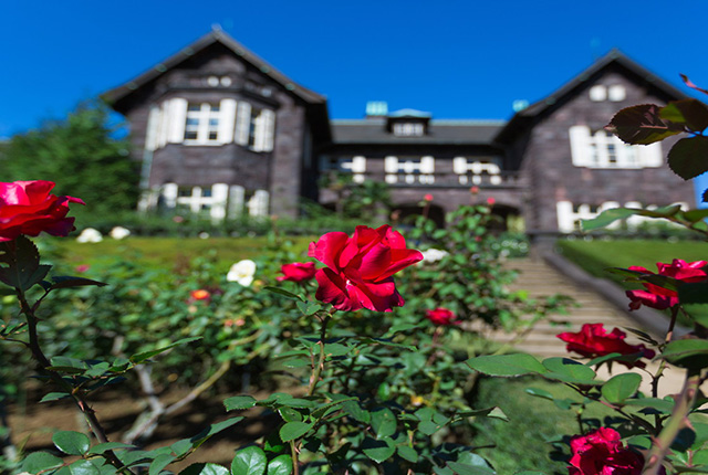 旧古河庭園の薔薇（イメージ）