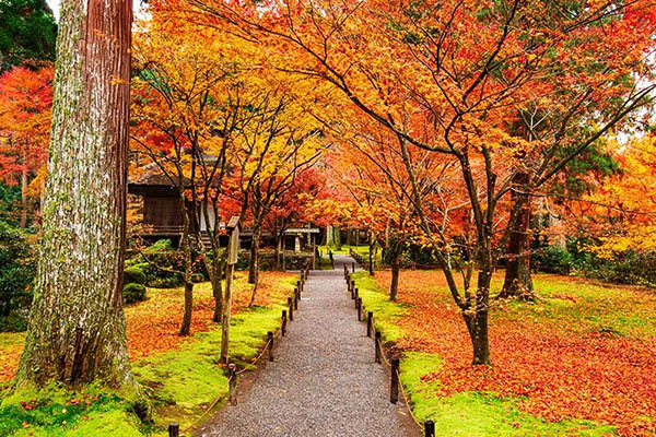 大原三千院