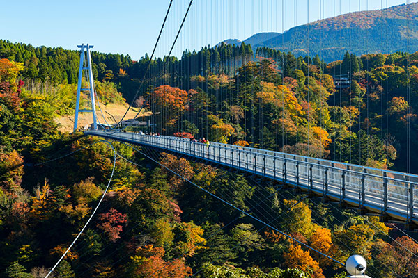 九重大吊橋