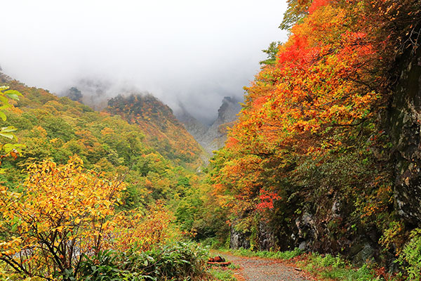 谷川岳