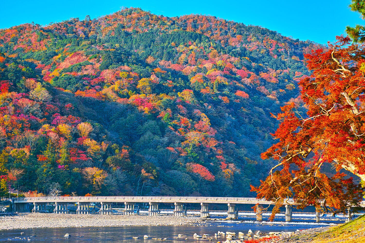 嵐山
