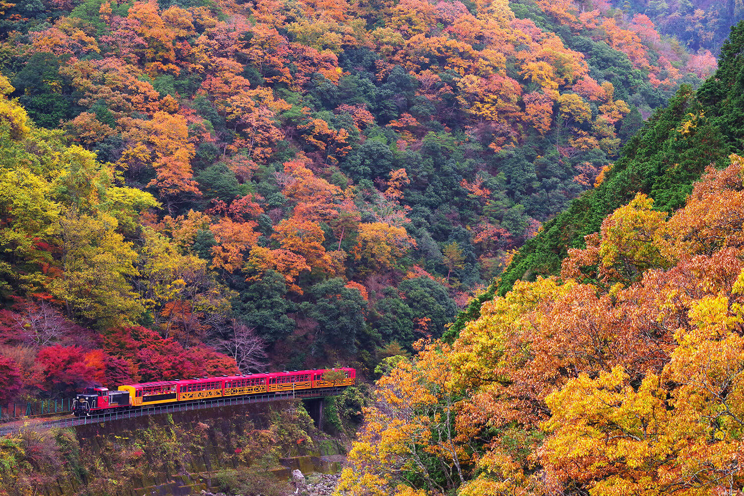 嵯峨野トロッコ列車