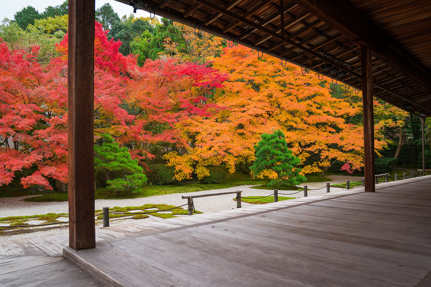 南禅寺 天授庵