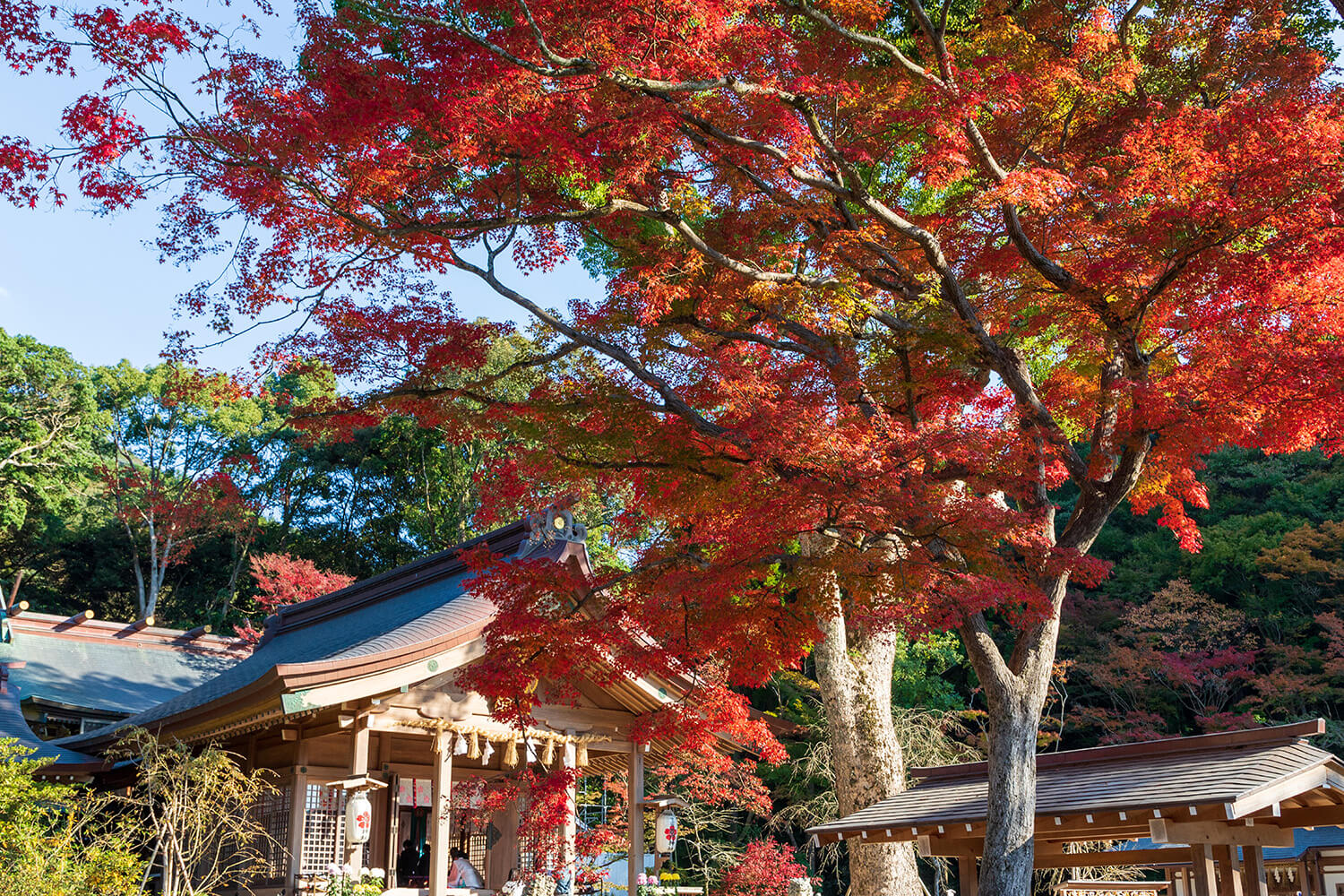 竈門神社
