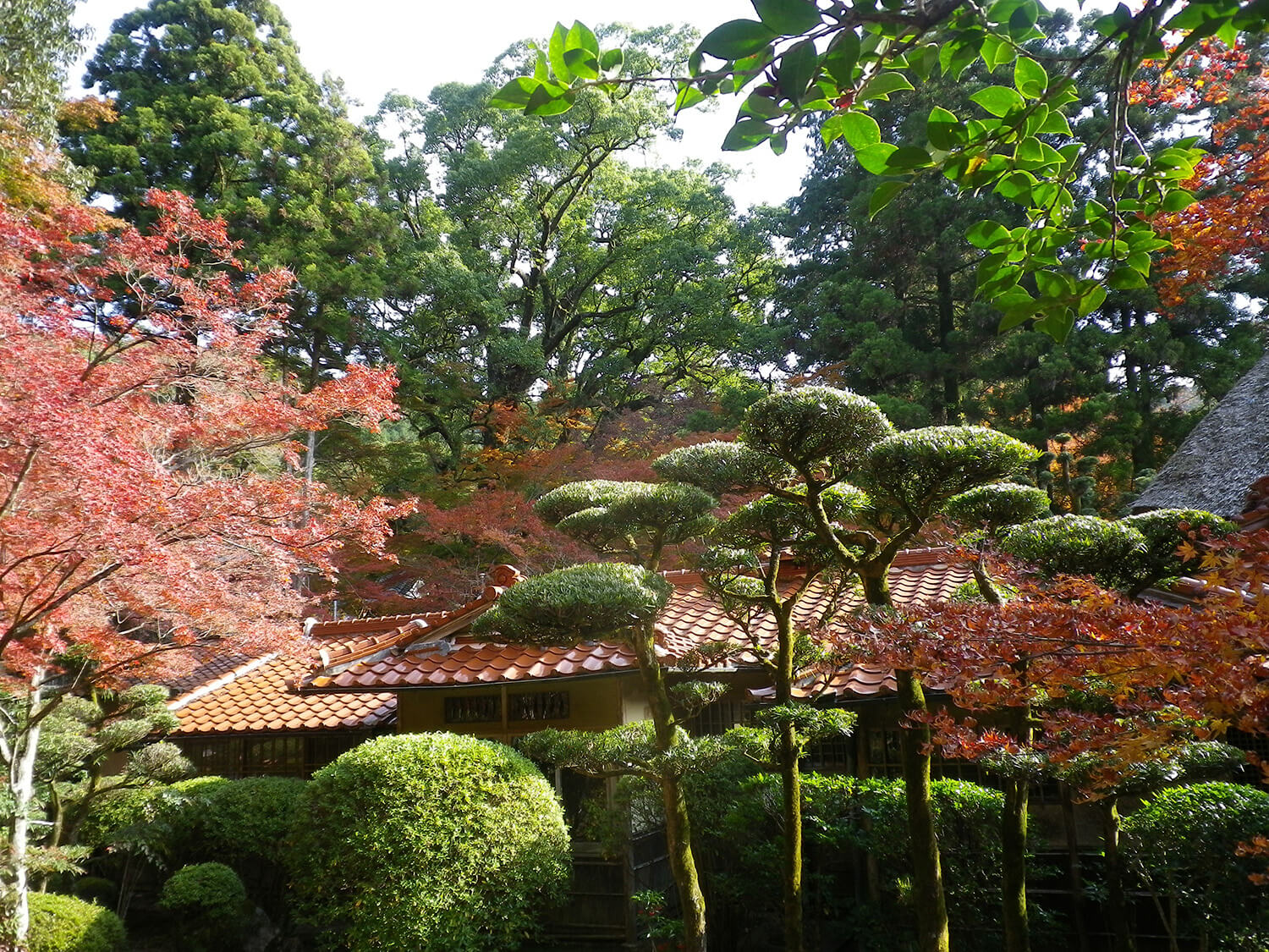 九年庵