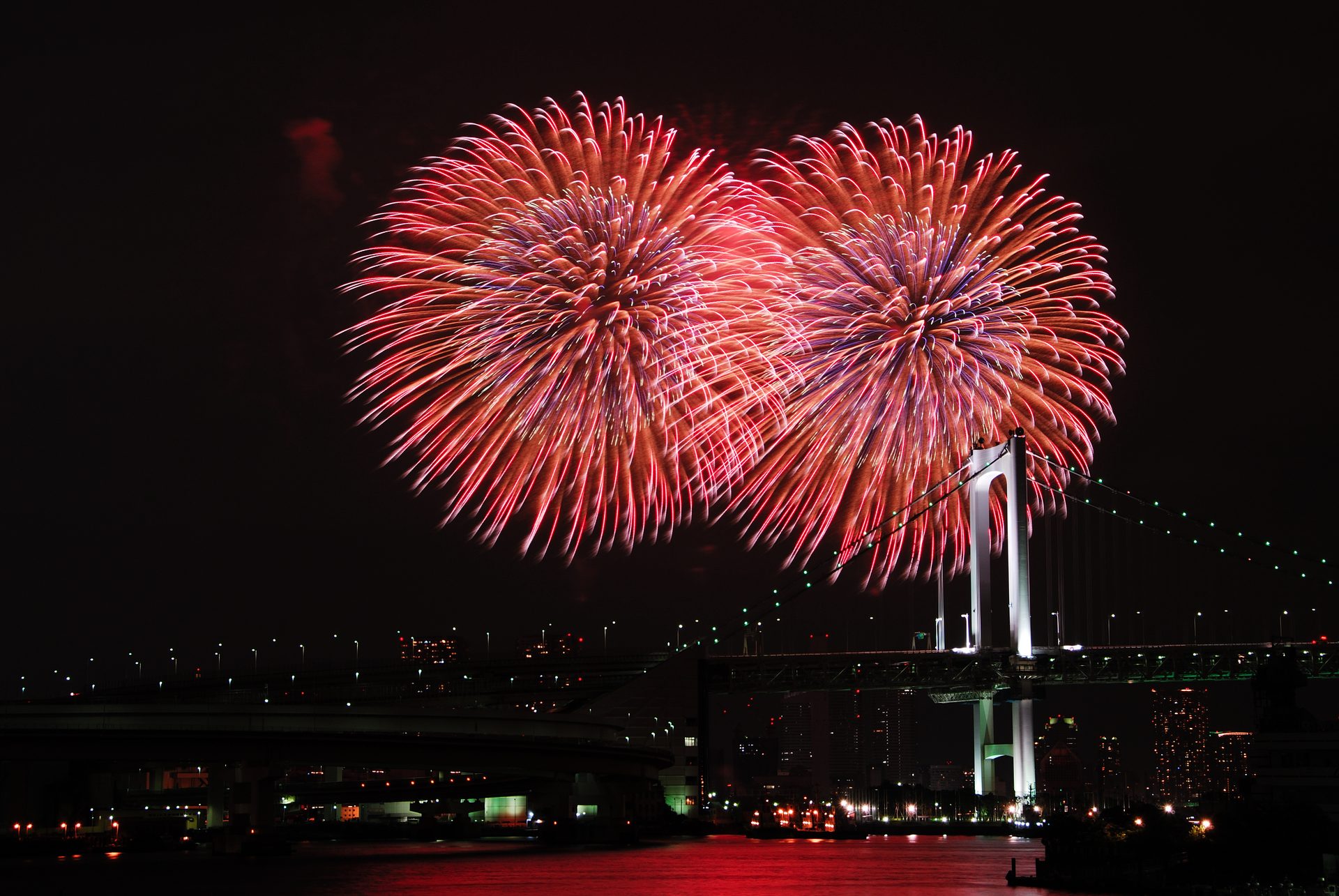 レインボーブリッジの上空に大きく開く東京湾大華火祭の花火