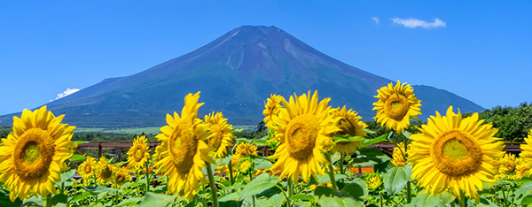 富士山