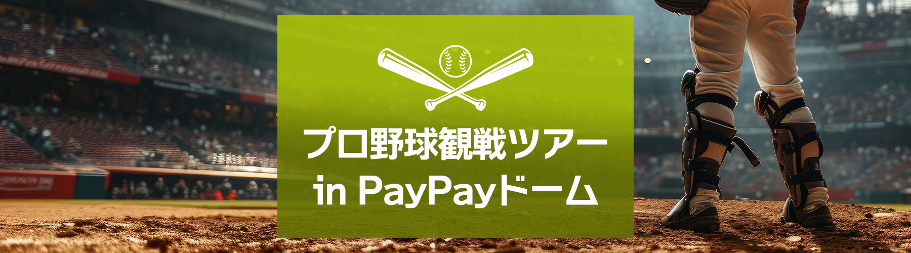 福岡PayPayドーム／プロ野球観戦ツアー特集