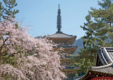 醍醐寺