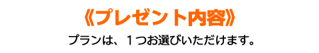 �v���[���g���e