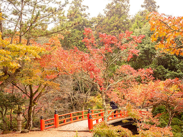 厳島神社、紅葉谷公園（広島県）／イメージ
