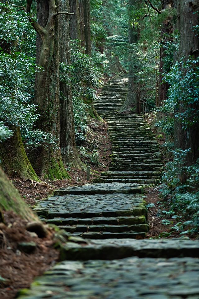 紀伊山地の霊場と参詣道(和歌山県、三重県、奈良県)/イメージ