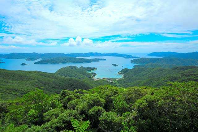 奄美大島(鹿児島県)/イメージ