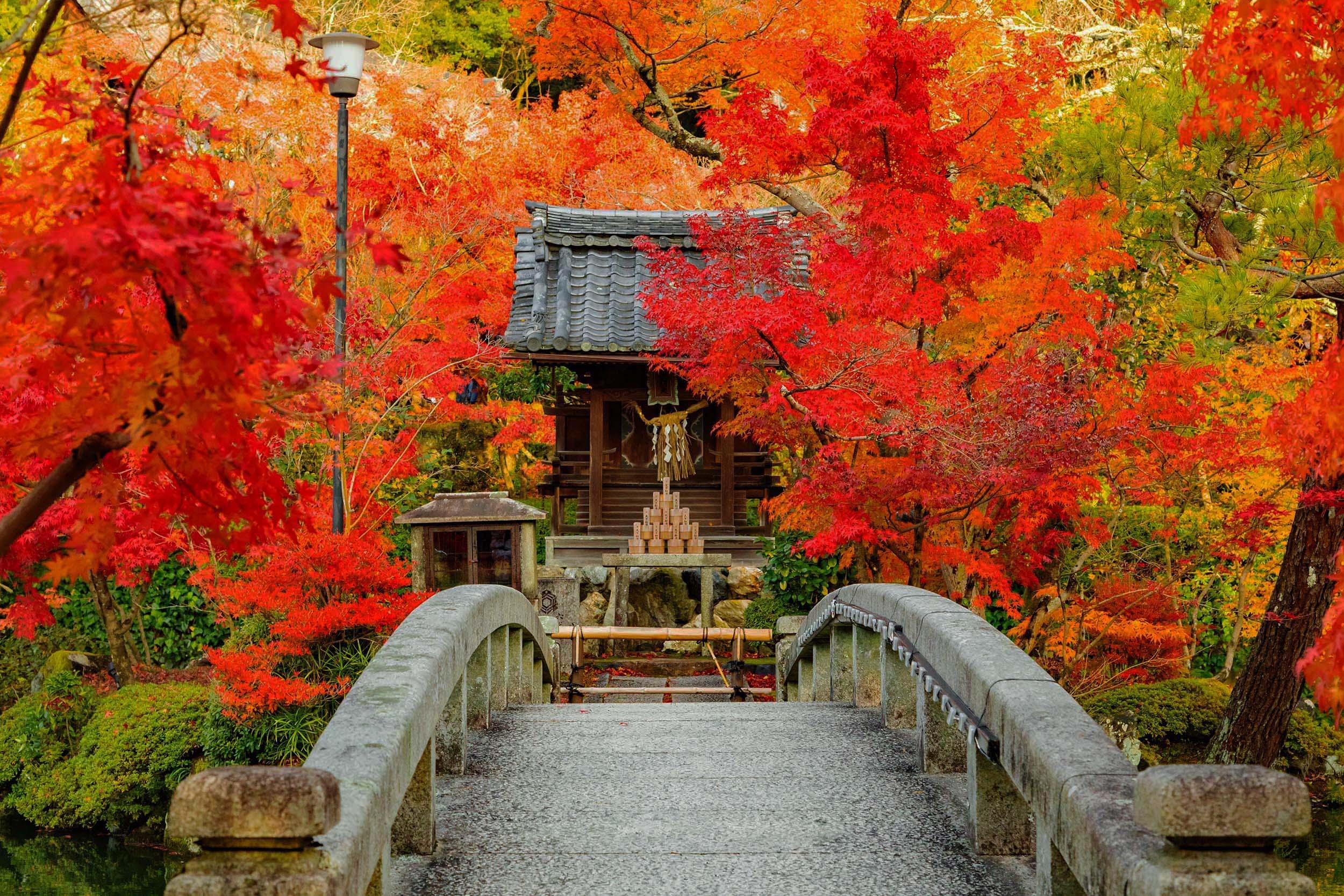 秋の紅葉ツアーの特集 21年最新版 タビックスジャパン 秋の紅葉ツアーの特集 21年最新版 タビックスジャパン