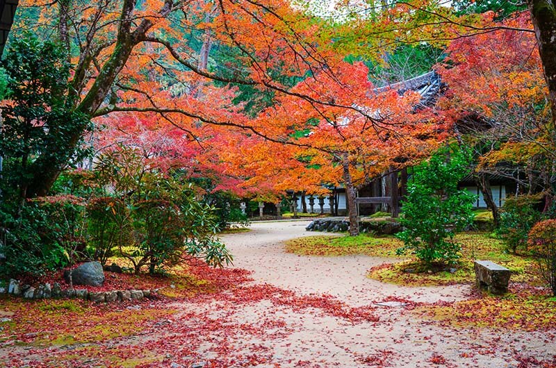 槙尾・西明寺(京都)