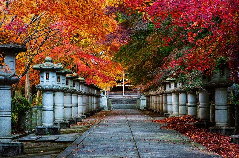 栂尾・高山寺(京都)