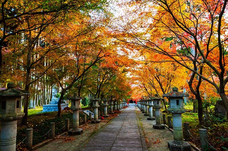 栂尾・高山寺(京都)