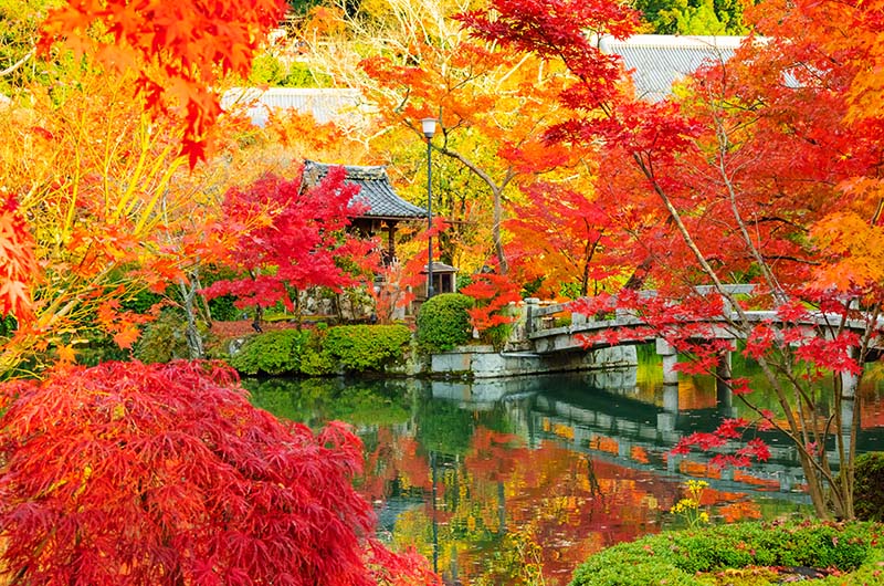 永観堂(京都)