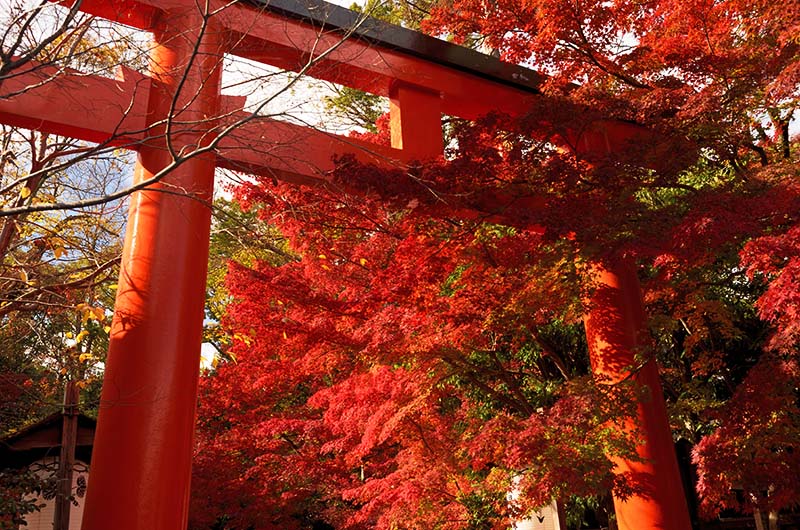 下鴨神社(京都)