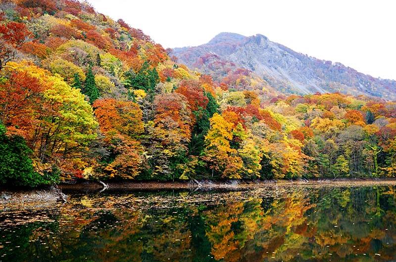 白神山地(青森)