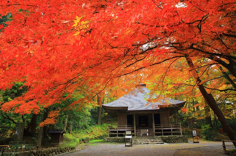 中尊寺(岩手)