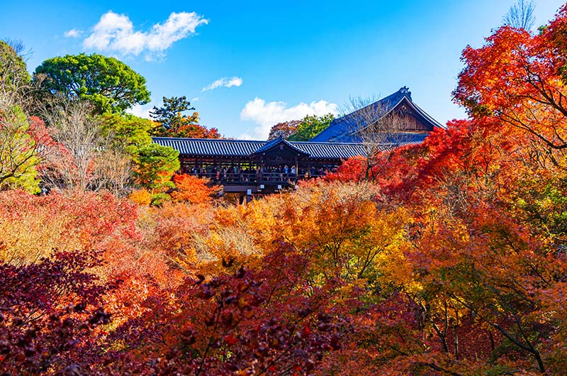 東福寺・通天橋(京都)