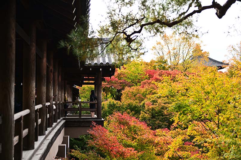 東福寺・通天橋(京都)