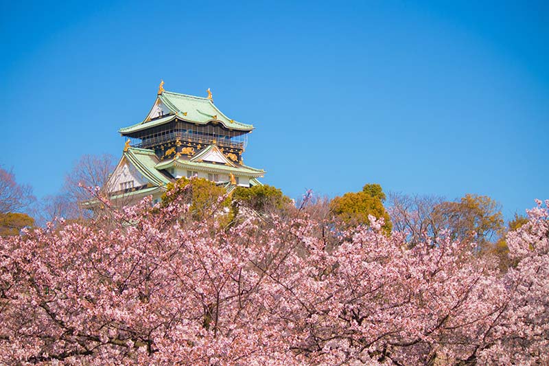 大阪城・桜（大阪）