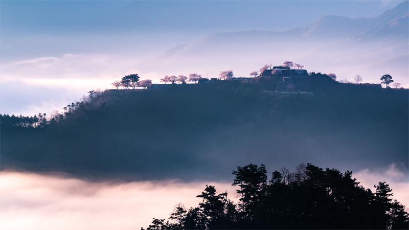 竹田城・桜（兵庫）