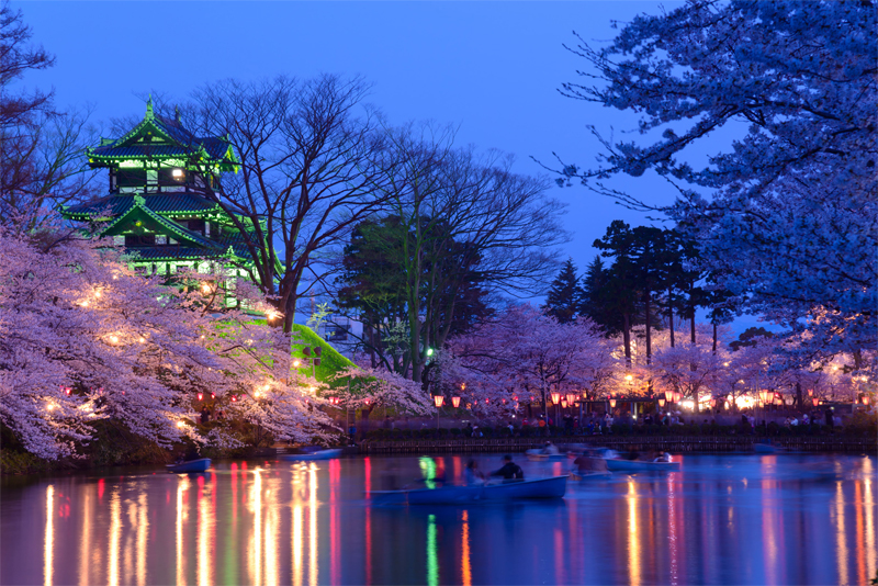 高田城址公園・夜・桜（新潟）